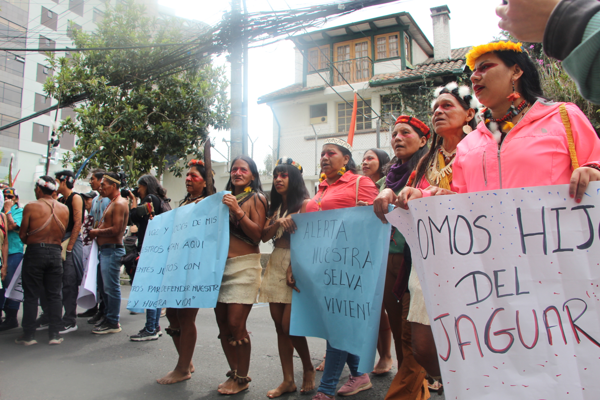 Plantón en los exteriores de la Corte Constitucional del Ecuador, jueves 14 de noviembre de 2024. Foto: Yuli Gaona